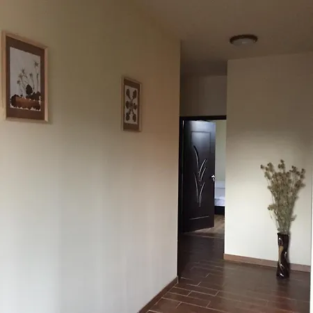 Guest house Casa Florea *